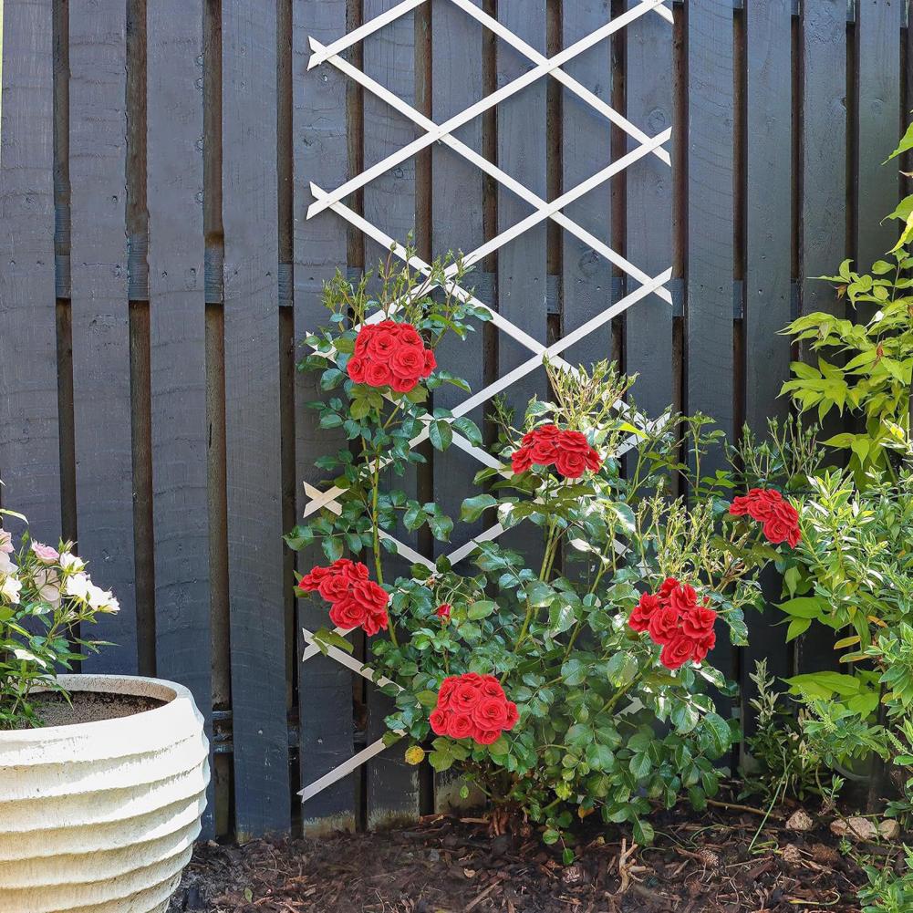 Expandable Garden Trellis 70 x - đánh giá và giá Plants X